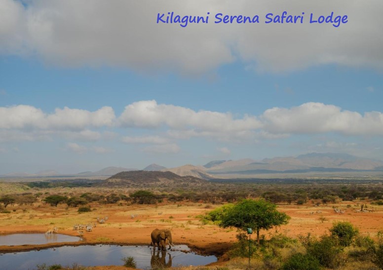 Kilaguni Serena Safari Lodge 1