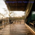 Ngorongoro Wild Palm Lodge