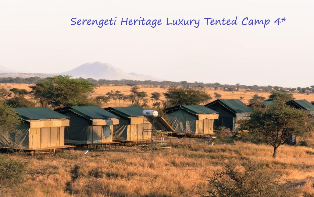 Serengeti Heritage Luxury Tented Camp 2