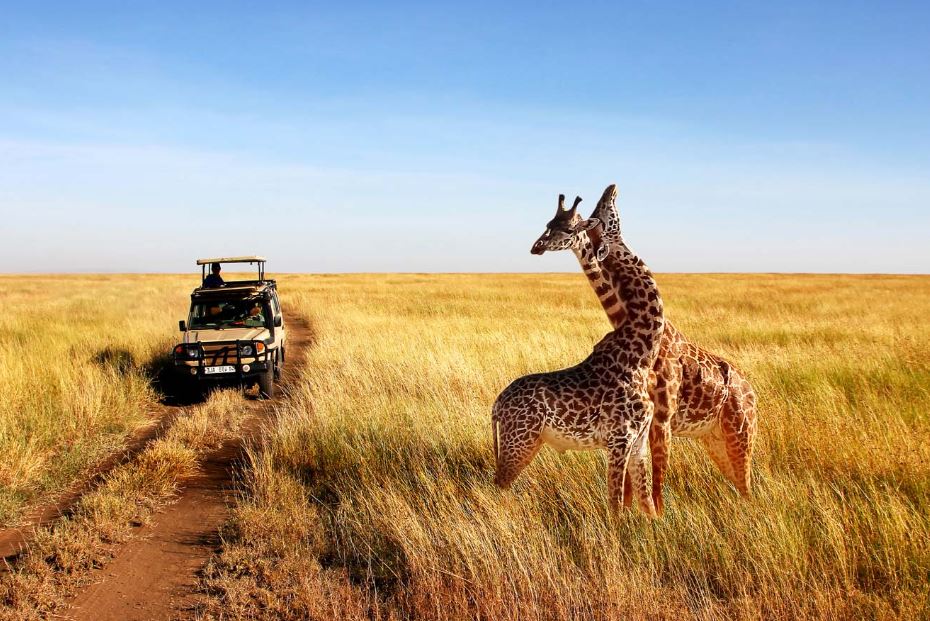 Vacanta exotica Sejur Kenya plaja si safari