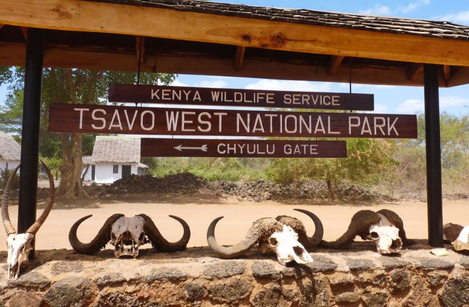 Tsavo west national parc