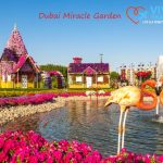 Dubai Miracle Garden dubai Dubai vivatravel